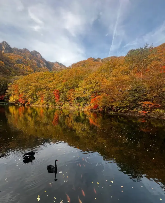 Benxi | Guanmen Mountain National Forest Park - A true natural oxygen bar