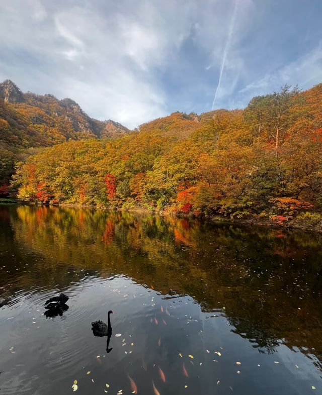本溪｜關門山森林公園——真正的天然氧吧