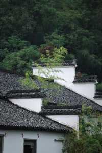 浙江諸暨|藏匿於深山裡的百年老建築