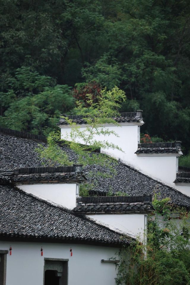 浙江諸暨|藏匿於深山裡的百年老建築
