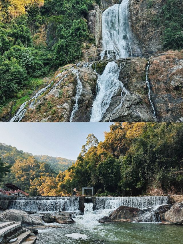 沒想到廣西還有這樣四季美景的地方