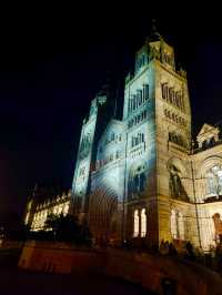 The Natural History Museum at Night: A Magical Experience 🌙