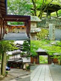 探秘日本三島市：山海間的小眾寶藏