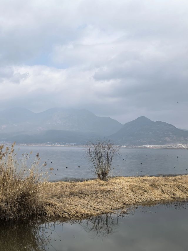 麗江-大理市-洱海5日遊 玩轉雲南不踩雷