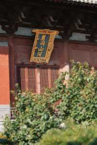 奉國寺，歷史厚重，藝術璀璨！