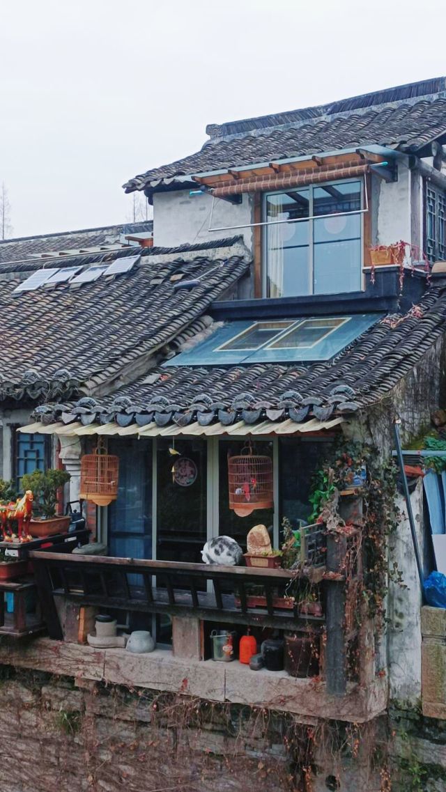 跟著《三十而已》打卡上海楓涇古鎮，真的……