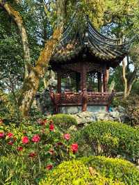 桂林公園探梅記