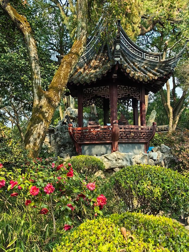 桂林公園探梅記