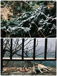 攀登信陽雞公山報曉峰，征服絕美山川