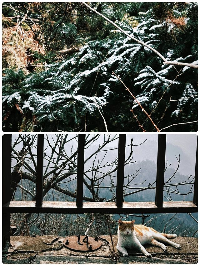 攀登信陽雞公山報曉峰，征服絕美山川