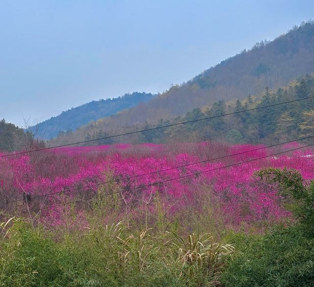 在蕪湖入住山谷盡頭的雲端藝術館