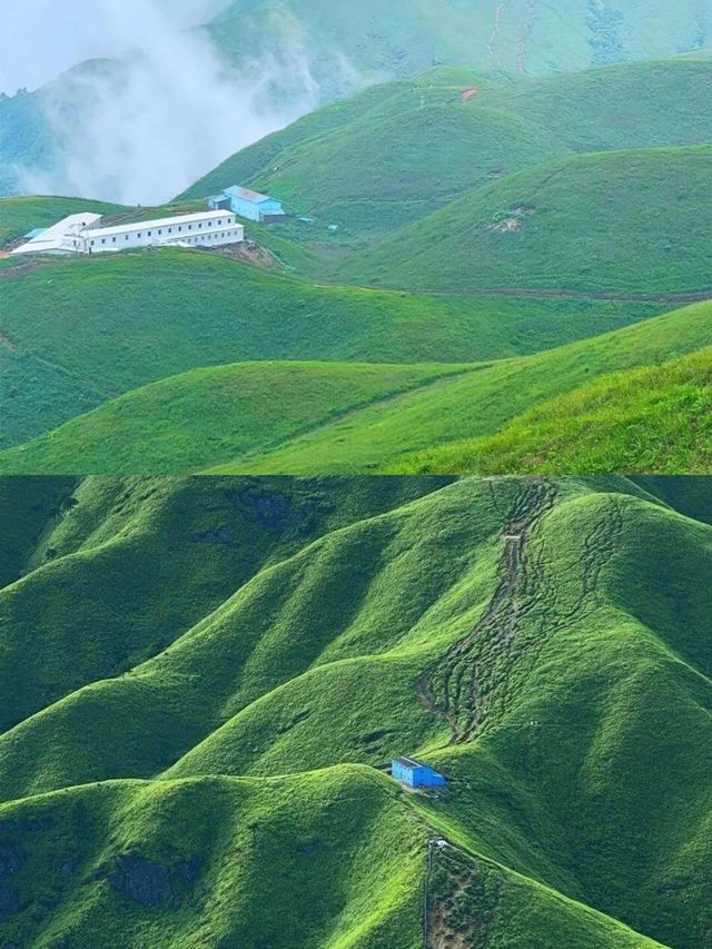 武功山 | 赴一場雲端之約，邂逅絕美高山草甸