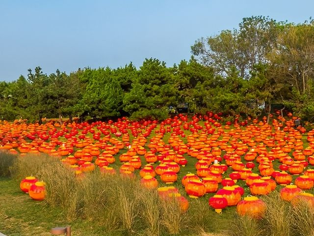 《青島雕塑園，海邊藝術寶藏打卡指南！》