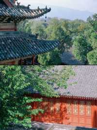 運城｜來幾次都看不厭的關帝廟