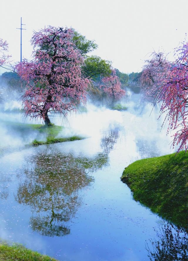 花星球