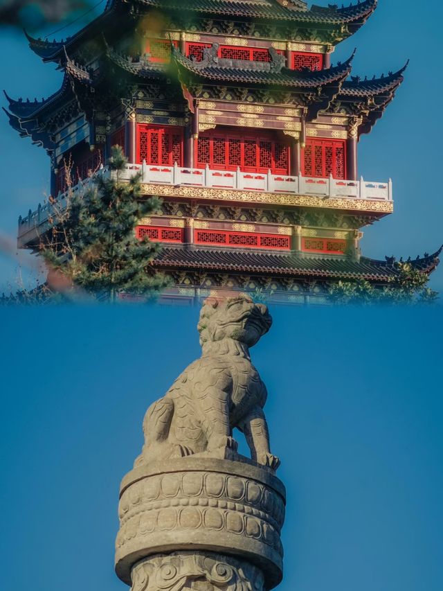 阜陽八里河︱邂逅皖北水鄉的夢幻綺境