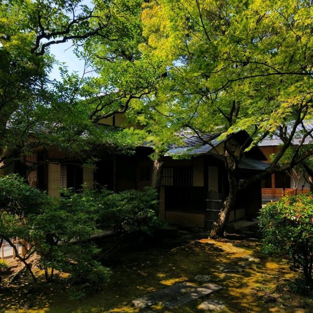 避開人潮，福岡一人悠遊記 | 九州福岡5天4晚獨旅攻略