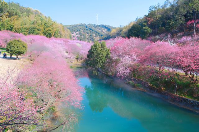 湖州水韻梅香，暢享仙境中的極致風流
