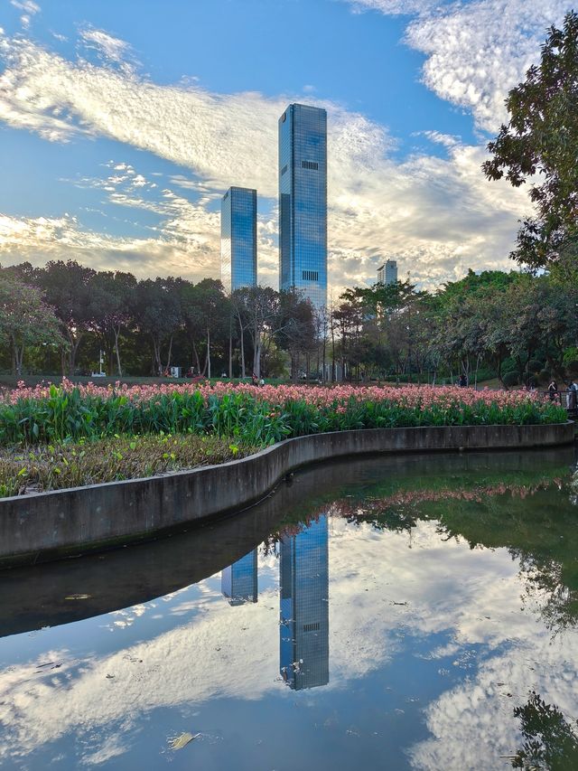 深圳最適合帶小朋友捉魚釣魚的公園