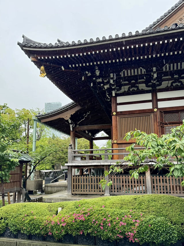心之旅：在大阪一心寺的靜謐時光