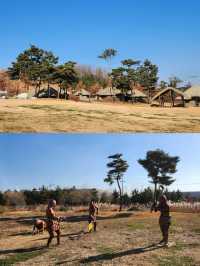 逃離人潮，邂逅始興：韓國小眾寶藏旅行地