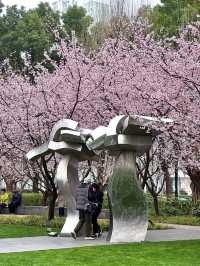 上海市區｜靜安雕塑公園的早櫻已經開咗！