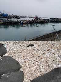 湛江破洲島