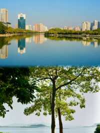 不去擠鼓浪嶼，我在滄海灣看到了人生海海