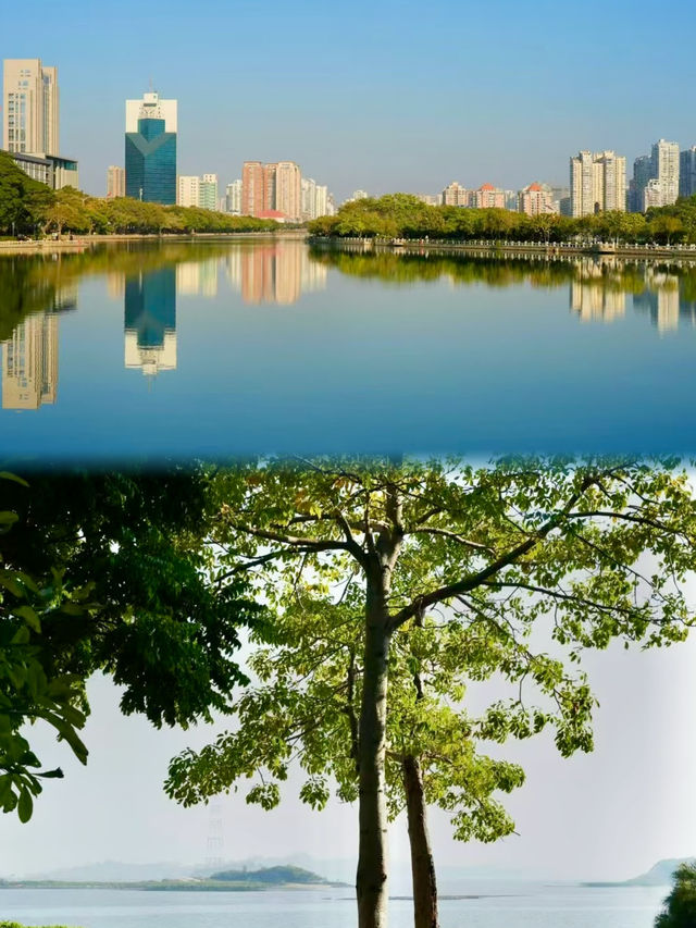 不去擠鼓浪嶼，我在滄海灣看到了人生海海