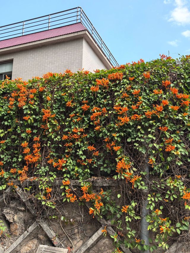 廈門-泉州5日遊 玩轉熱門風景別錯過這幾個地方