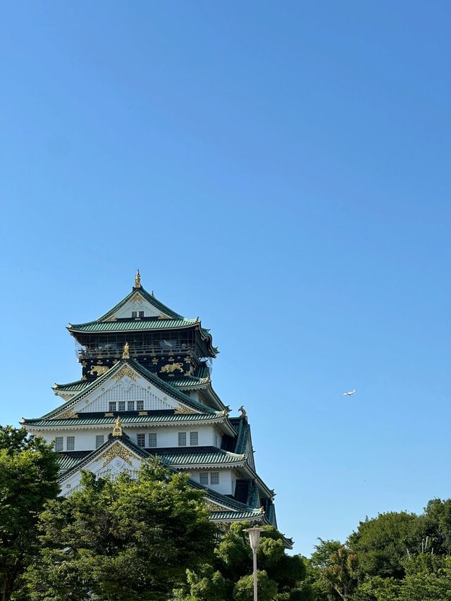 6日深度遊 解鎖日本的別樣風情