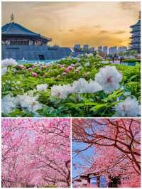 3月信陽點玩，睇呢篇就夠晒嘞
