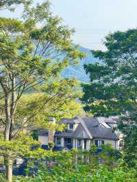 深圳玉龍公園：都市中的靜謐桃源