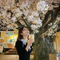 🌸【賞櫻圖鑒】鹿兒島熊本福岡賞櫻推薦‼️
