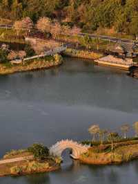 珠海中山公園：鬧市中的靜謐桃源