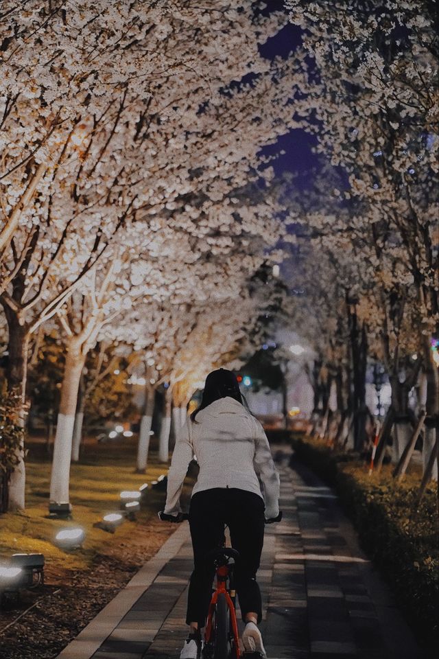 春日煥新|滴水湖畔奢享健康生活