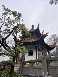 探尋兩漢源頭-彭城徐州3日遊