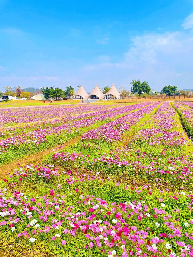 玉林市五彩田園風景區
