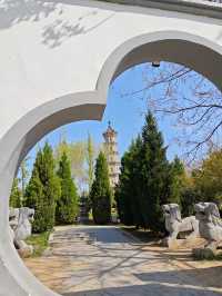 亳州去哪兒：吃住行的詳細攻略