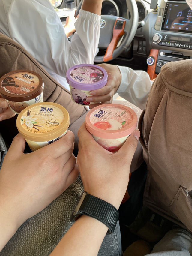 從稻城到麗江，一場驚艷的自駕盛宴