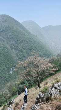 沙塵暴那天    我躲進了豐都夾壁山