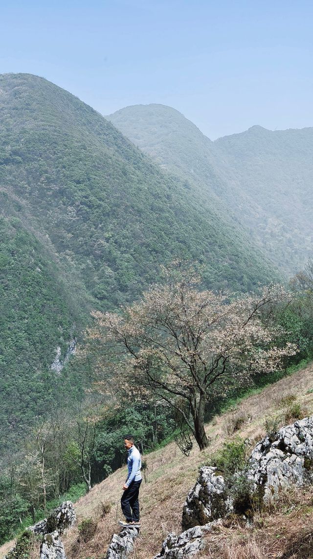 沙塵暴那天    我躲進了豐都夾壁山