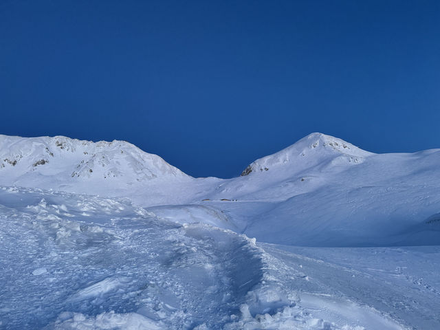 立山黑部：從暴風雪到晴空萬里的奇妙旅程