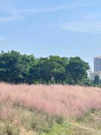 石岩湖濕地公園 | 環湖徒步騎行天花板