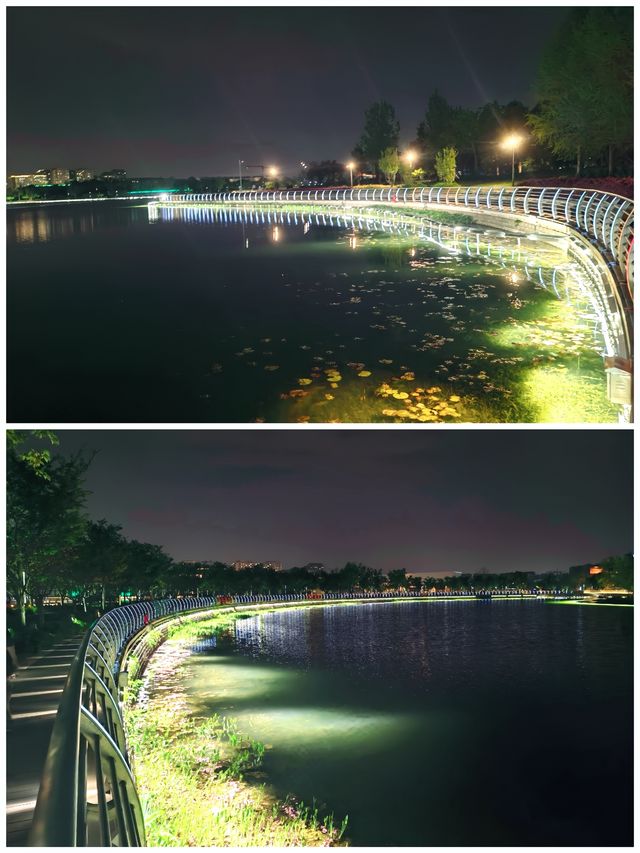 金海湖夜遊，光影交織的「上海之魚」漫步
