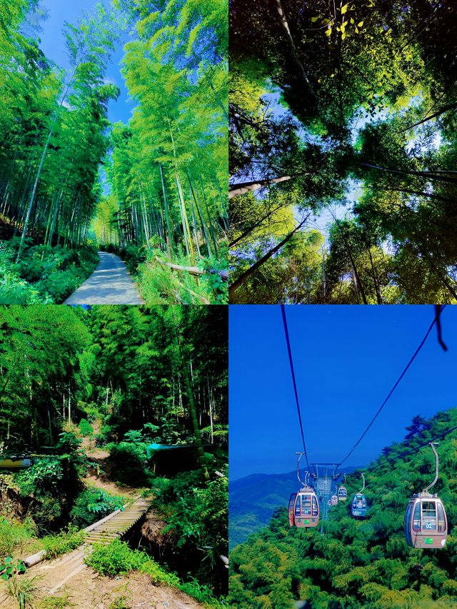 江蘇宜興究竟有何魅力？ 能讓旅人一次次奔赴？