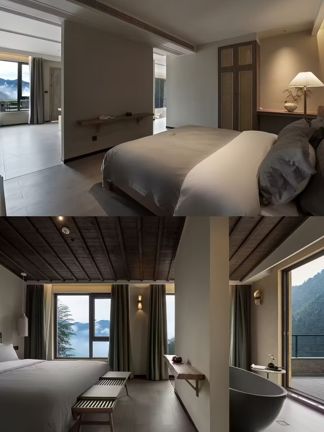 春櫻漫山，住進雲霧桃源（間民宿，世外桃源）