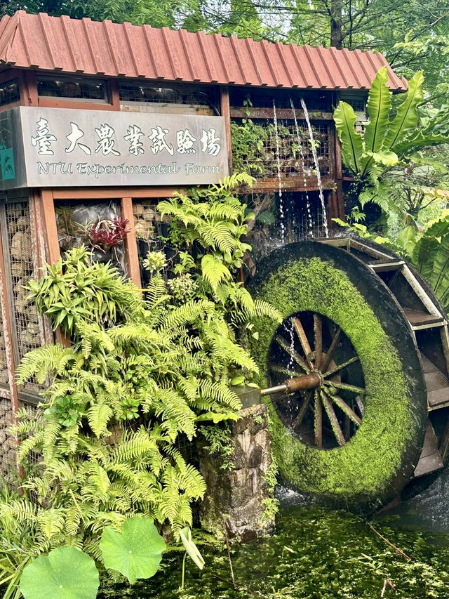 書院之風，學府之魂：在臺大拾光