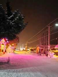 雪谷三天两晚旅游攻略不踩雷  二刷雪谷👍