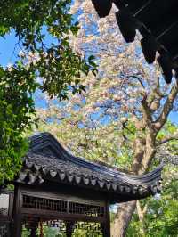 暮春的怡園